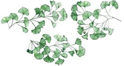 File gốc File gốc in tranh tổng hợp K17985 (in tráng gương) nghệ thuật