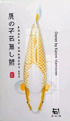 Ảnh gốc File gốc in tranh tổng hợp K18091 (độ nét cao) in tráng gương