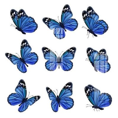 File gốc File gốc in tranh tổng hợp K18508 (PNG) chất lượng cao