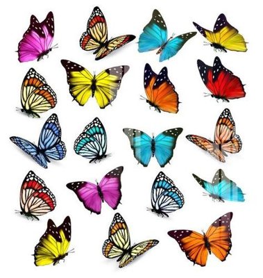 File PSD File gốc in tranh tổng hợp K18512 (bản gốc) độ phân giải cao