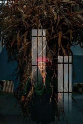 File in mica File gốc in tranh tổng hợp K18521 (bản gốc) siêu trong