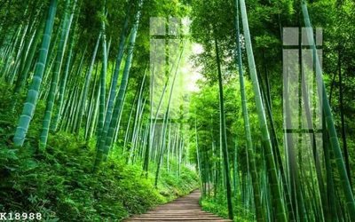 File gốc File gốc in tranh tổng hợp K18988 (ảnh chi tiết) để in trần