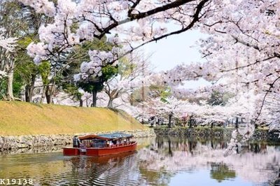 Tải file File gốc in tranh tổng hợp K19138 (gốc) in ấn ngay lập tức