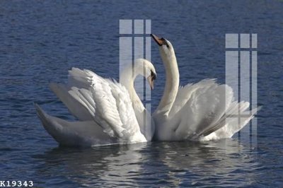 File PSD File gốc in tranh tổng hợp K19343 (gốc) nhiều lớp (multi-layer)