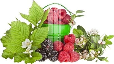 File tranh File gốc in tranh tổng hợp K19346 (gốc) in trên kính