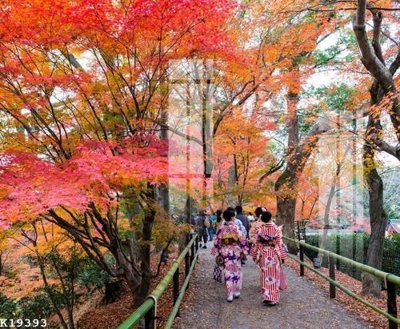 File gốc in mica File gốc in tranh tổng hợp K19393 chất lượng