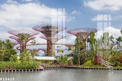 Tải file File gốc in tranh tổng hợp K19429 (gốc) chủ đề tâm linh