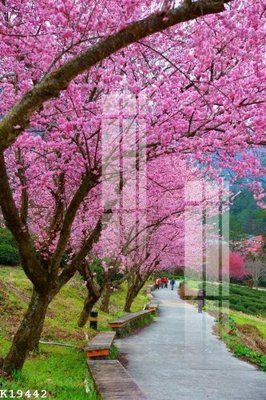 File gốc File gốc in tranh tổng hợp K19442 (Filetranh.com) File gốc in tranh tổng hợp K19442