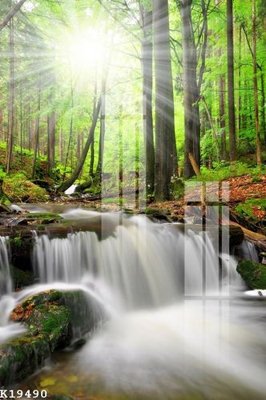 File in trần File gốc in tranh tổng hợp K19490 (file gốc) xuyên sáng