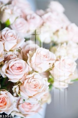 File gốc File gốc in tranh tổng hợp K19504 (PNG) trong suốt (transparent)