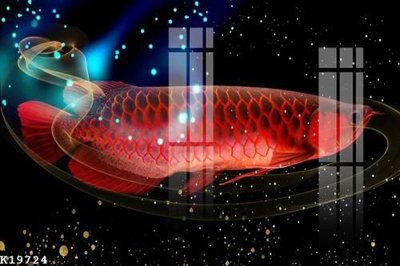 File tranh gốc File gốc in tranh tổng hợp K19724 (bản quyền) độc đáo