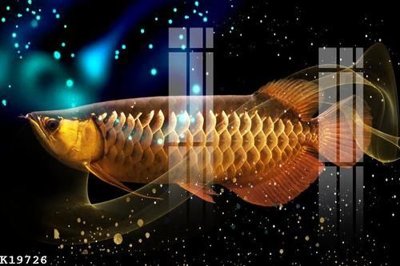 File in ấn File gốc in tranh tổng hợp K19726 (bản gốc) từ file gốc