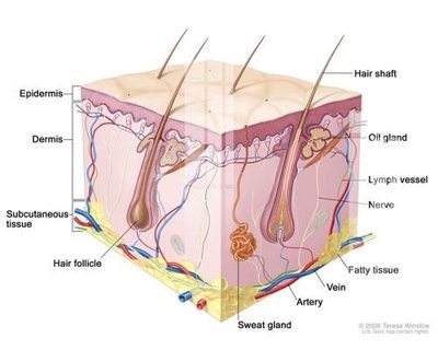 Tải file File gốc in tranh tổng hợp K19766 (PSD) cho in ấn quảng cáo