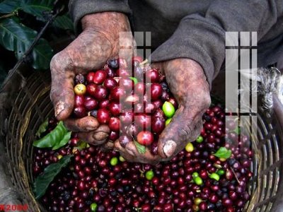 File PSD File gốc in tranh tổng hợp K2000 (nguyên gốc) chất lượng cao