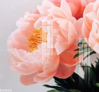 Tải file File gốc in tranh tổng hợp K20059 (ảnh gốc) in tranh kính