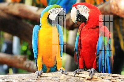 File gốc File gốc in tranh tổng hợp K20072 (in ấn) không giới hạn