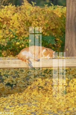 Mua file gốc File gốc in tranh tổng hợp K20090 (PSD) tại Filetranh.com