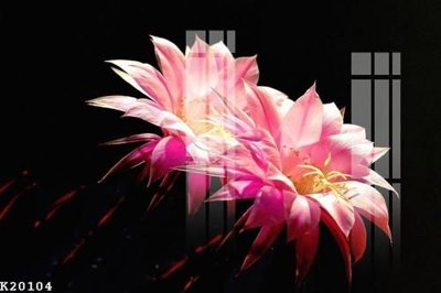 File in mica File gốc in tranh tổng hợp K20104 (bản gốc) làm vách ngăn