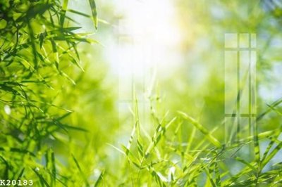 File gốc in ấn File gốc in tranh tổng hợp K20183 chất lượng vượt trội