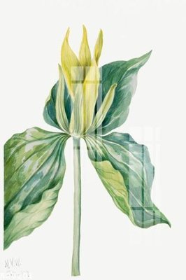 Download file ảnh gốc File gốc in tranh tổng hợp K20201 để in ấn