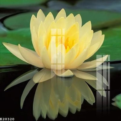 Tải file File gốc in tranh tổng hợp K20320 (gốc) làm file quảng cáo