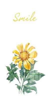 Ảnh gốc file in lụa File gốc in tranh tổng hợp K20571 chi tiết