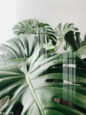 Tải file gốc File gốc in tranh tổng hợp K20575 (in tráng gương) siêu đẹpFile tranh gốc File gốc in tranh tổng hợp K20575 chất lượng cao