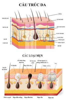 File gốc in ấn File gốc in tranh tổng hợp K20586 (sẵn sàng tải về)