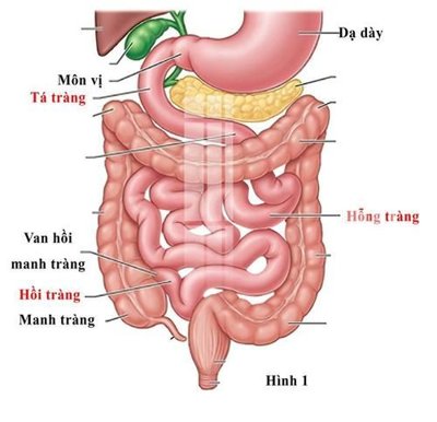 Tải file tranh File gốc in tranh tổng hợp K20589 (ảnh gốc) ngay