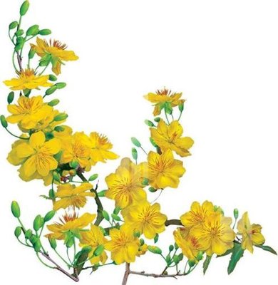 File gốc File gốc in tranh tổng hợp K20617 (PNG) chất lượng cao