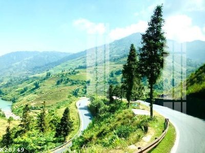 File gốc File gốc in tranh tổng hợp K20749 (in lụa) trang trí tường