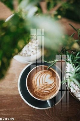 File tranh File gốc in tranh tổng hợp K20799 (gốc) chủ đề động vật