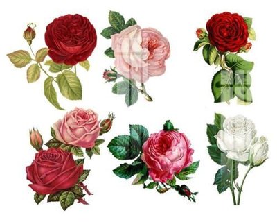 File ảnh File gốc in tranh tổng hợp K20863 (gốc) in standee