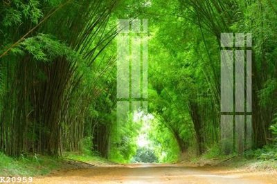 File in ấn File gốc in tranh tổng hợp K20959 (bản gốc) từ file gốc