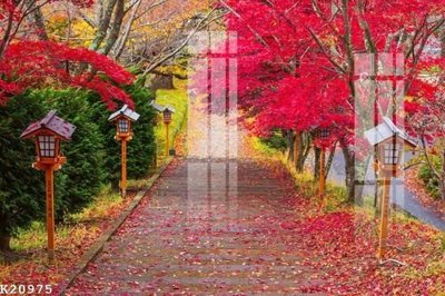 Tải file gốc File gốc in tranh tổng hợp K20975 (in tráng gương) cao cấpFile gốc File gốc in tranh tổng hợp K20975 (in ấn) phiên bản độc quyền