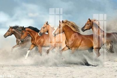 File in lụa File gốc in tranh tổng hợp K21043 (phong cảnh) File gốc in tranh tổng hợp K21043