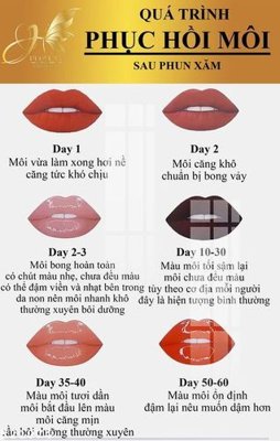 File gốc in ấn File gốc in tranh tổng hợp K21074 chất lượng vượt trội