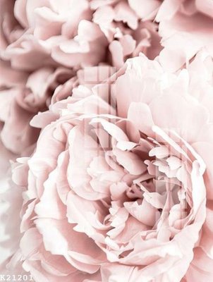 File gốc File gốc in tranh tổng hợp K21201 (in mica) cắt laser