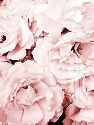 File tranh File gốc in tranh tổng hợp K21204 (ảnh gốc) độc quyền