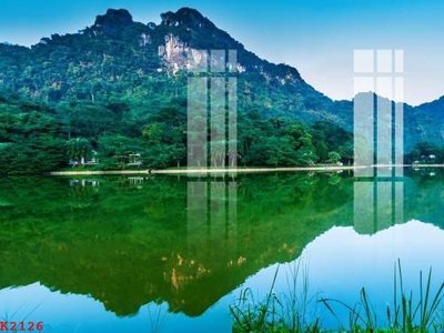 File PSD File gốc in tranh tổng hợp K2126 (bản gốc) đã tách nền