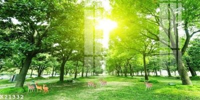 File gốc File gốc in tranh tổng hợp K21332 (in lụa) hoa văn cổ điển