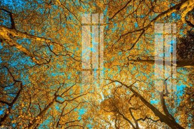 File tranh gốc File gốc in tranh tổng hợp K21730 (sắc nét từng chi tiết)