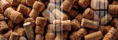 File in trần File gốc in tranh tổng hợp K21746 (bản gốc) đại dương