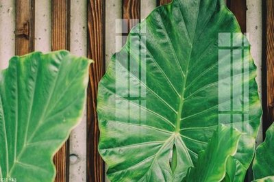 Mua file gốc File gốc in tranh tổng hợp K21943 (PSD) tại Filetranh.com