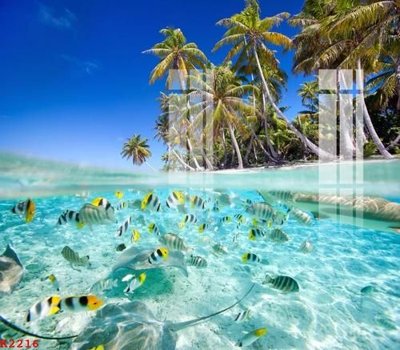 File PSD File gốc in tranh tổng hợp K2216 (gốc) cho in quảng cáo