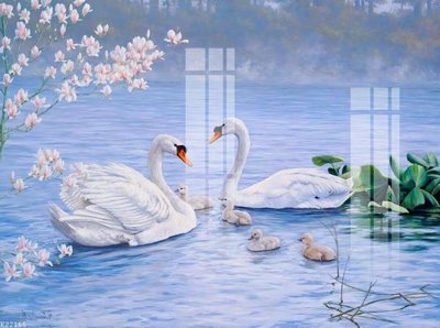 File tranh File gốc in tranh tổng hợp K22165 (file gốc) chủ đề phong thủy