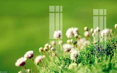 Download file File gốc in tranh tổng hợp K22223 (gốc) cho xưởng in