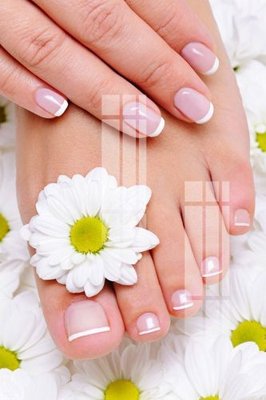 Download file File gốc in tranh tổng hợp K22253 (chuẩn in) chất lượng cao