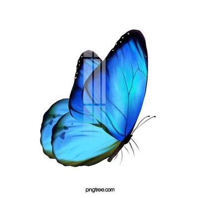 File gốc File gốc in tranh tổng hợp K22255 (PNG) chất lượng cao