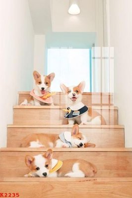 Download file tranh File gốc in tranh tổng hợp K2235 (file gốc PSD)